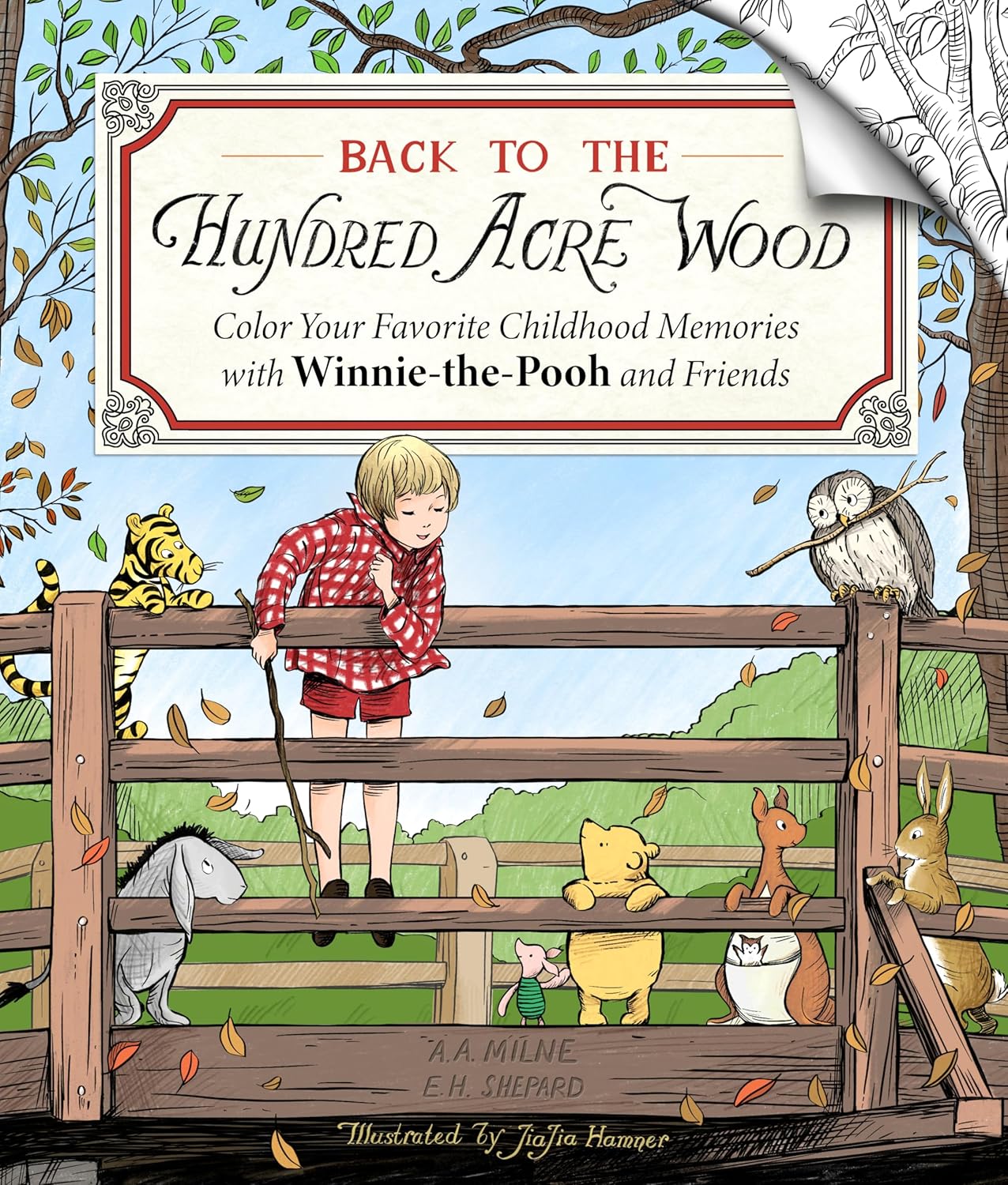 Back to the Hundred Acre Wood: Color Your Favorite Childhood Memories with Winnie-the-Pooh and Friends by JiaJia Hamner