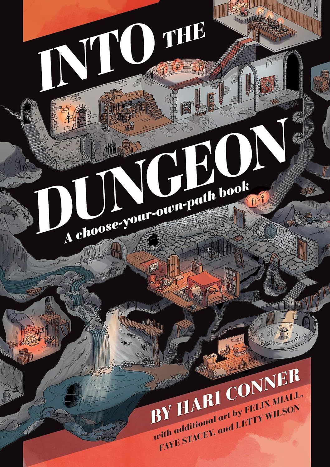 Into the Dungeon: A Choose-Your-Own-Path Book by Hari Conner
