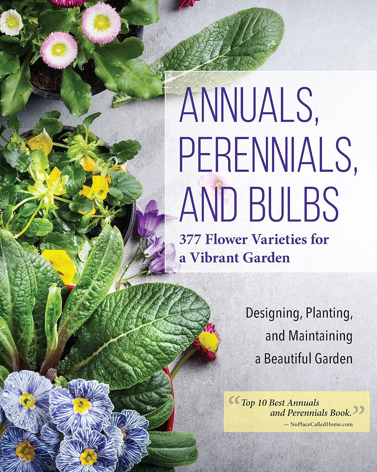 Annuals, Perennials, and Bulbs: 377 Flower Varieties for a Vibrant Garden (Creative Homeowner) 600 Photos and Over 40 Step-by-Step Sequences to Help Design, Improve, & Maintain Your Landscape by Editors of Creative Homeowner