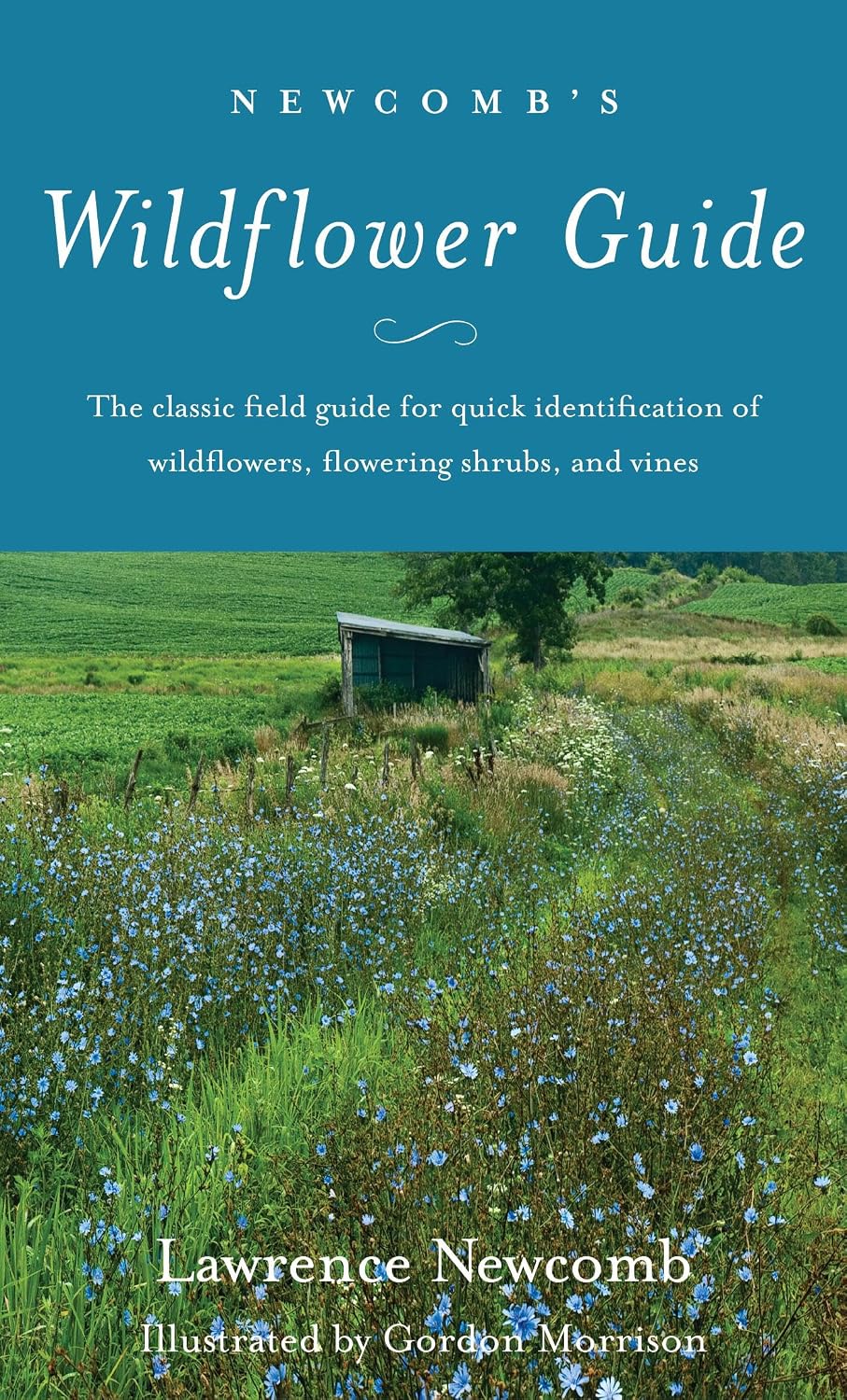 Newcomb's Wildflower Guide by Lawrence Newcomb
