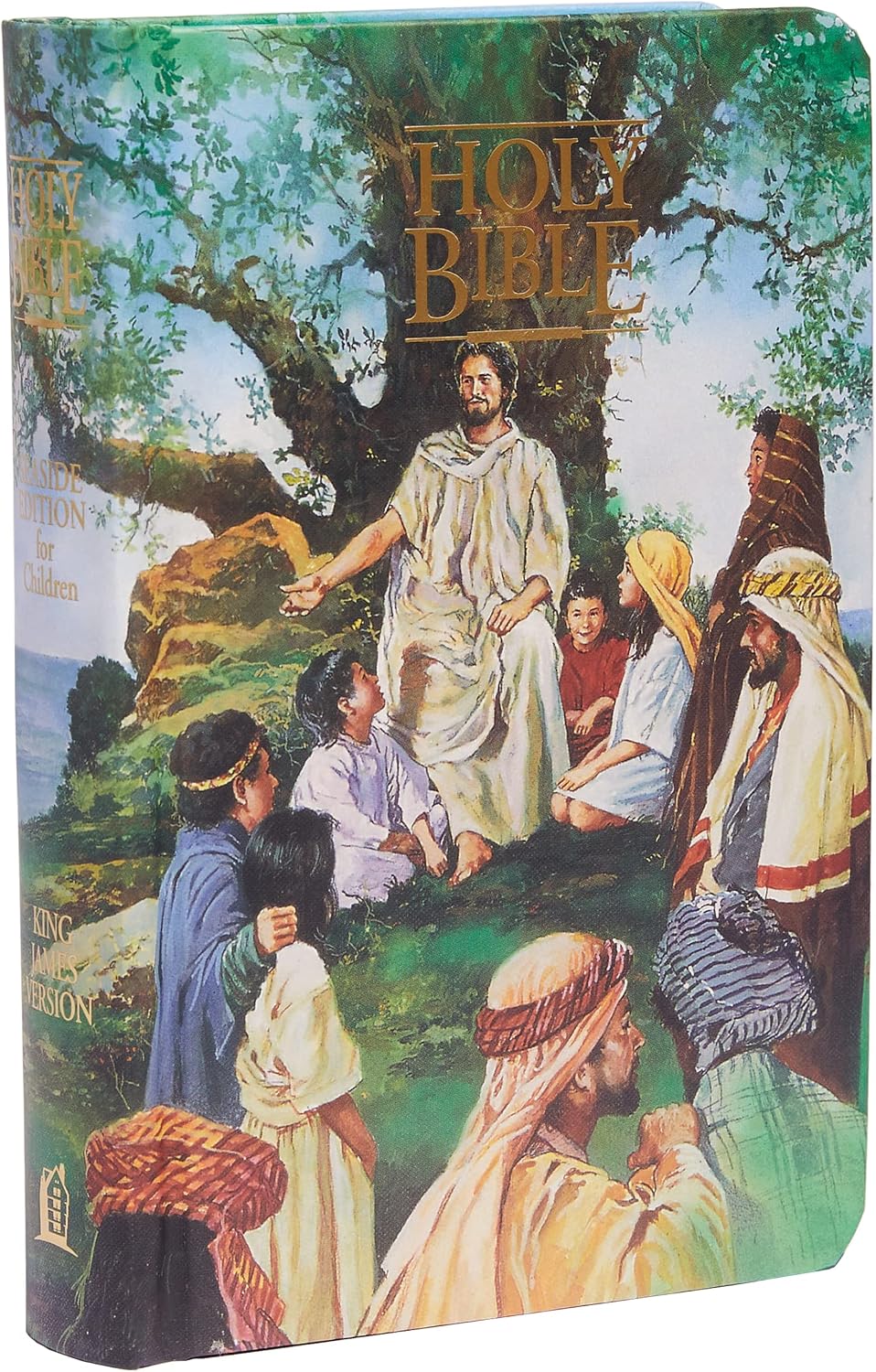 KJV Classic Children's Bible, Seaside Edition, Full-color Illustrations (Hardcover): Holy Bible, King James Version by Thomas Nelson