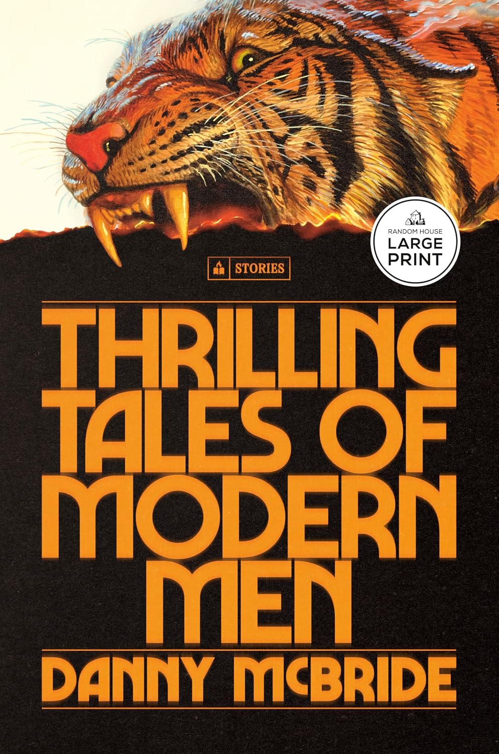 Thrilling Tales of Modern Men: Stories by Danny McBride