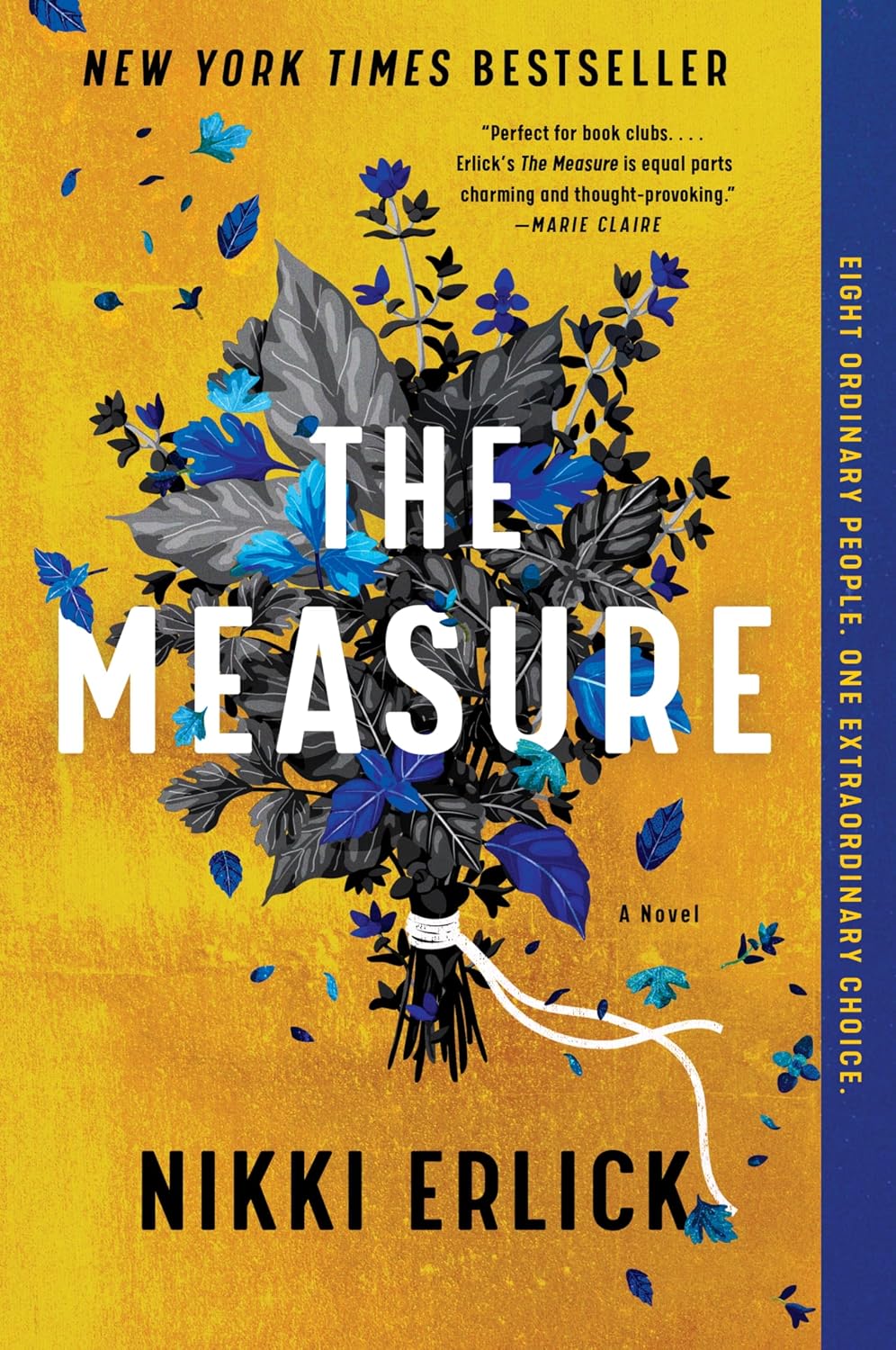 The Measure: A Novel – The Instant New York Times Bestseller About Hope, Destiny, and Living Life to the Fullest by Nikki Erlick