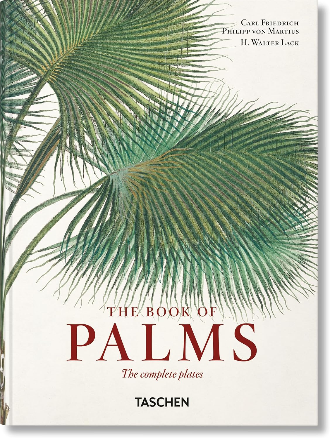 Martius: The Book of Palms. 45th Ed. (45th Edition) (Multilingual Edition) by H. Walter Lack