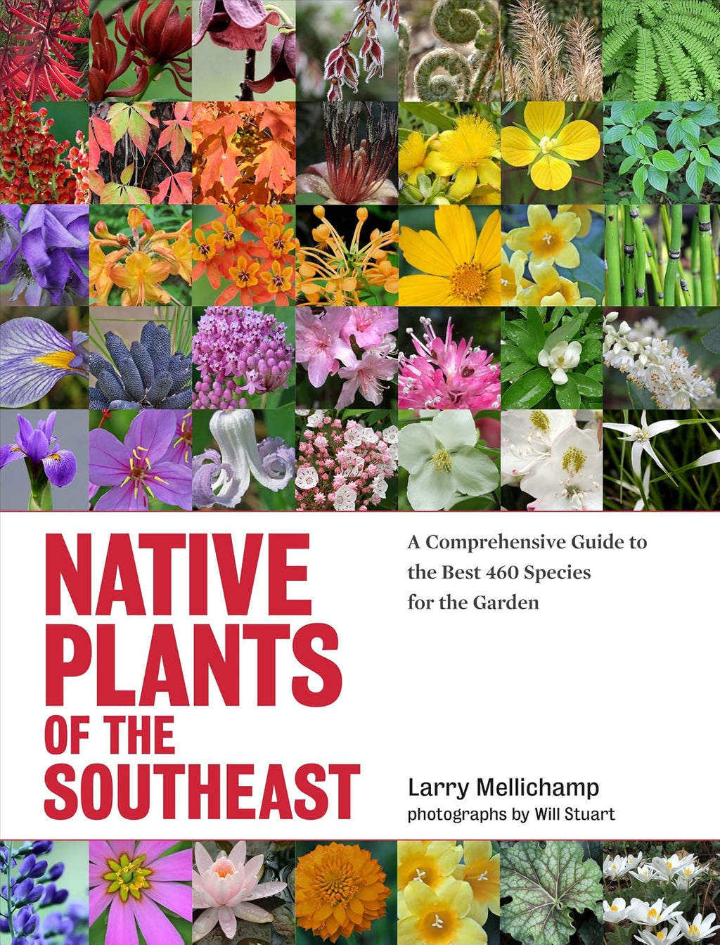 Native Plants of the Southeast: A Comprehensive Guide to the Best 460 Species for the Garden by Larry Mellichamp