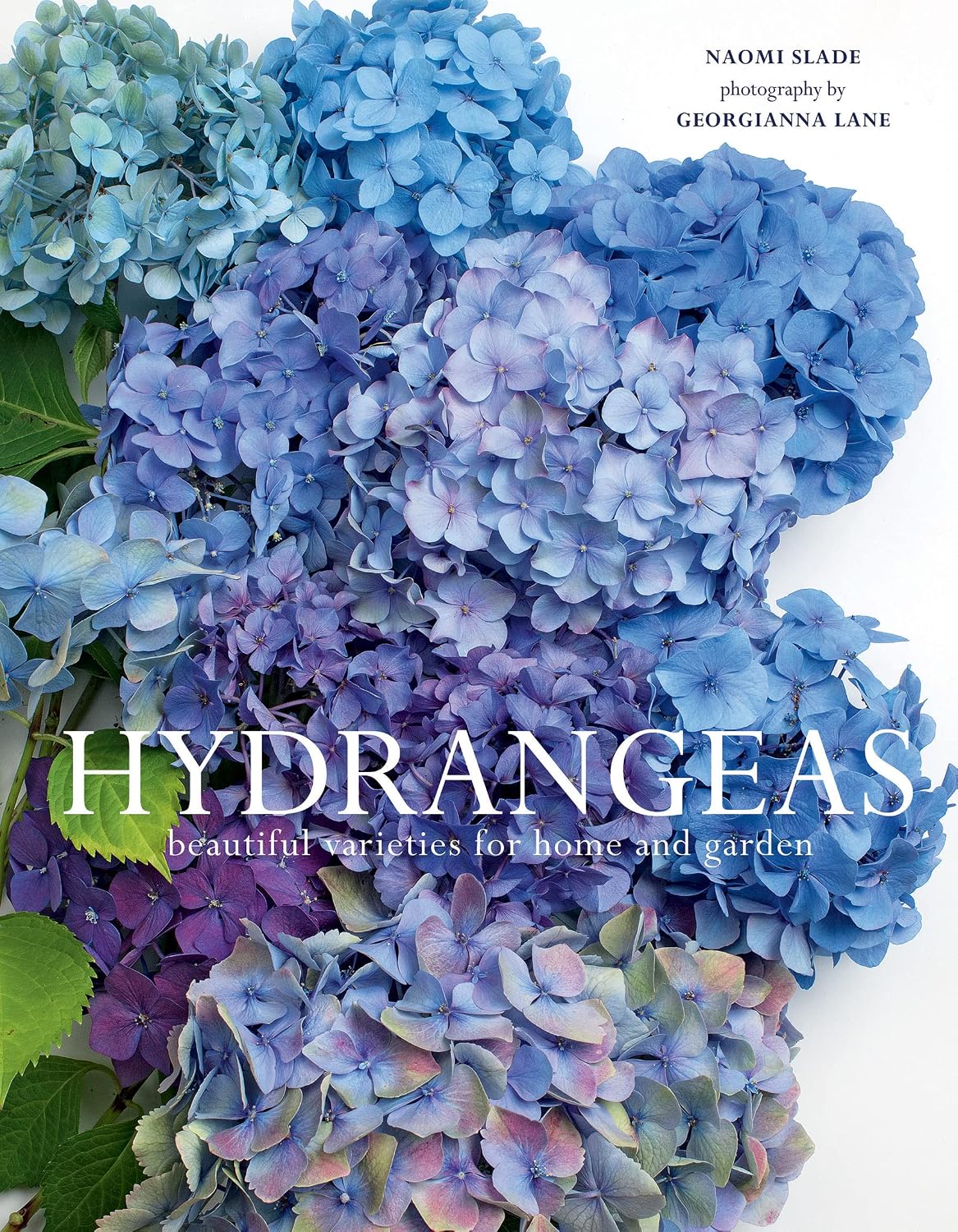Hydrangeas: Beautiful Varieties for Home and Garden (Flowers) by Naomi Slade