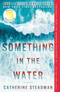 Something in the Water: Reese's Book Club: A Novel by Catherine Steadman