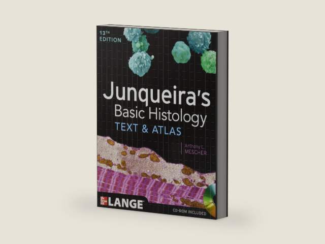 Junqueira's Basic Histology: Text and Atlas, Thirteenth Edition by Anthony Mescher | barcode:9780071780339 | source:'9780071780339-right-three-quarter.jpg