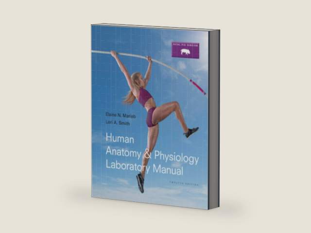 Human Anatomy & Physiology Laboratory Manual, Fetal Pig Version (12th Edition) (Marieb & Hoehn Human Anatomy & Physiology Lab Manuals) by Elaine N. Marieb | barcode:9780133925593 | source:'9780133925593-right-three-quarter.jpg