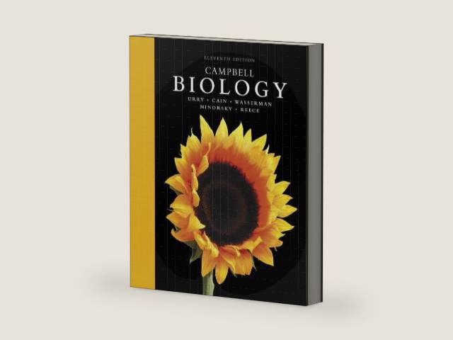 Campbell Biology by Lisa A. Urry | barcode:9780134093413 | source:'9780134093413-right-three-quarter.jpg