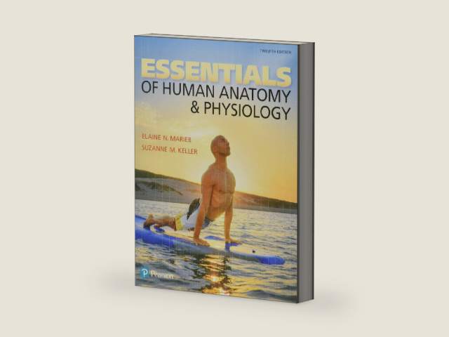 Essentials of Human Anatomy & Physiology by Elaine Marieb | barcode:9780134395326 | source:'9780134395326-right-three-quarter.jpg
