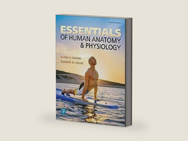 Essentials of Human Anatomy & Physiology (NASTA EDITION) by Elaine N. Marieb | barcode:9780134580579 | source:'9780134580579-right-three-quarter.jpg