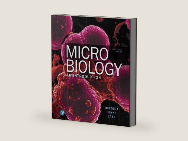Microbiology: An Introduction by Gerard Tortora | barcode:9780134605180 | source:'9780134605180-right-three-quarter.jpg