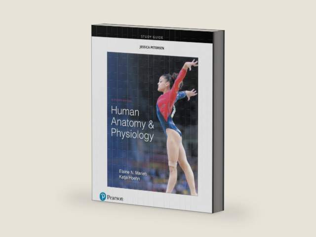Study Guide for Human Anatomy & Physiology by Elaine Marieb | barcode:9780134760230 | source:'9780134760230-right-three-quarter.jpg