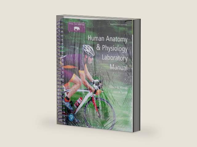 Human Anatomy & Physiology Laboratory Manual, Fetal Pig Version by Elaine Marieb | barcode:9780134806365 | source:'9780134806365-right-three-quarter.jpg