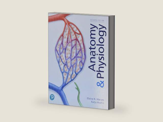 Anatomy & Physiology by Elaine Marieb | barcode:9780135168042 | source:'9780135168042-right-three-quarter.jpg