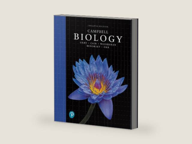 Campbell Biology by Urry | barcode:9780135188743 | source:'9780135188743-right-three-quarter.jpg