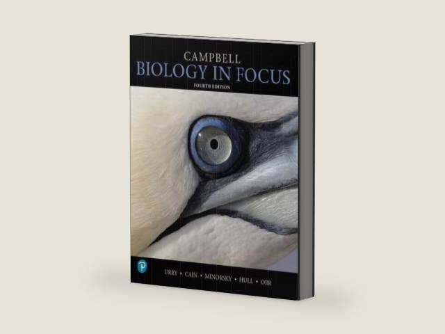 Campbell Biology in Focus, 4th edition by Urry | barcode:9780138255213 | source:'9780138255213-right-three-quarter.jpg