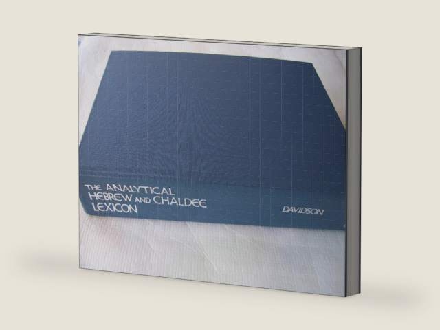 The Analytical Hebrew and Chaldee Lexicon: Every Word and Inflection of the Hebrew Old Testament Arranged Alphabetically and with Grammatical Analyses (Hebrew and Chaldee Paradigm Series) by Benjamin Davidson | barcode:9780310202905 | source:'9780310202905-right-three-quarter.jpg