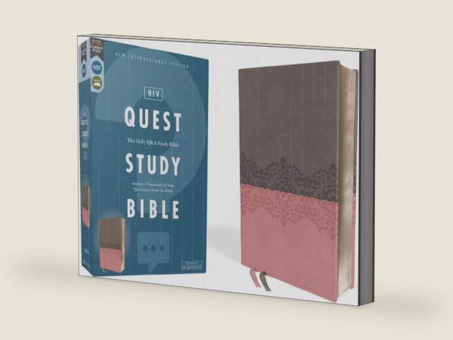 NIV, Quest Study Bible, Leathersoft, Gray/Pink, Comfort Print: The Only Q and A Study Bible by Christianity Today Intl. | barcode:9780310465416 | source:'9780310465416-right-three-quarter.jpg