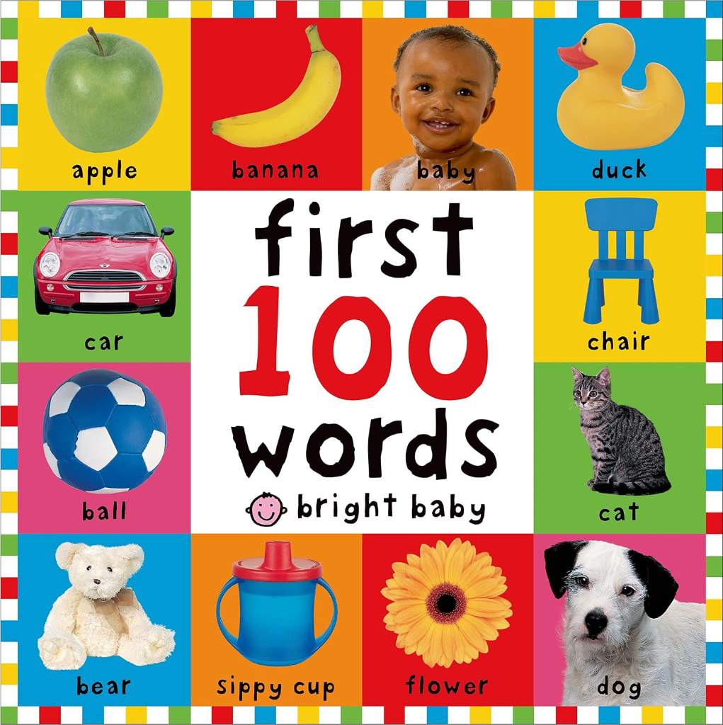 First 100 Words (Bright Baby) by Roger Priddy | barcode:9780312495411 | source:'9780312495411.jpg