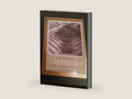 Thomas' Calculus Early Transcendentals (11th Edition) by George B. Thomas | barcode:9780321198006 | source:'9780321198006-right-three-quarter.jpg