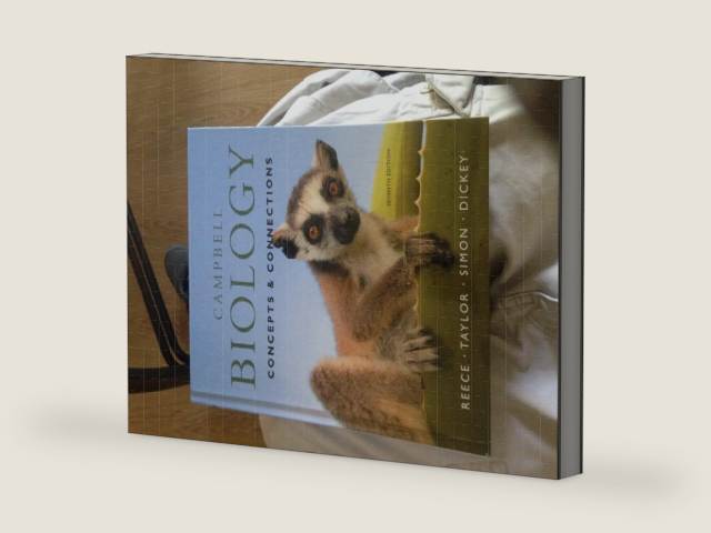 Campbell Biology: Concepts & Connections (7th Edition) by Jane B. Reece | barcode:9780321696816 | source:'9780321696816-right-three-quarter.jpg