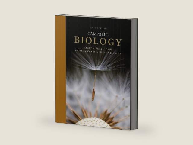 Campbell Biology Plus Masteringbiology by Jane B. Reece | barcode:9780321775849 | source:'9780321775849-right-three-quarter.jpg