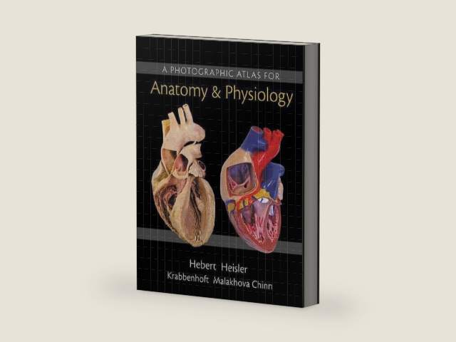 Photographic Atlas for Anatomy & Physiology, A by Nora Hebert | barcode:9780321869258 | source:'9780321869258-right-three-quarter.jpg