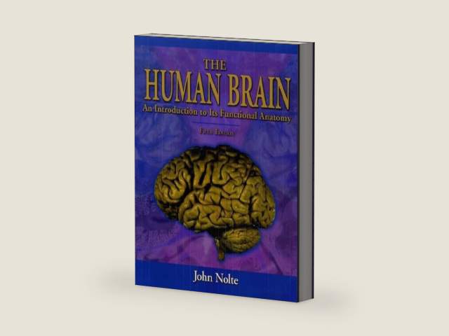 The Human Brain: An Introduction to Its Functional Anatomy by John Nolte PhD PhD | barcode:9780323013208 | source:'9780323013208-right-three-quarter.jpg