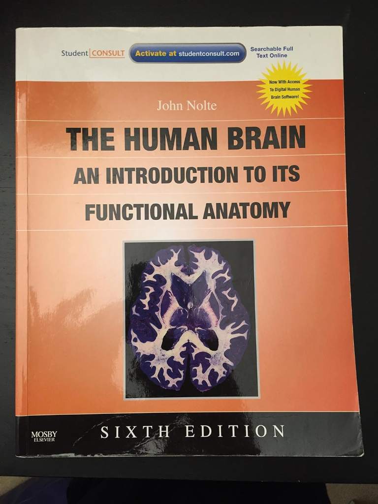 The Human Brain: An Introduction to Its Functional Anatomy by John Nolte PhD PhD - 9780323041317