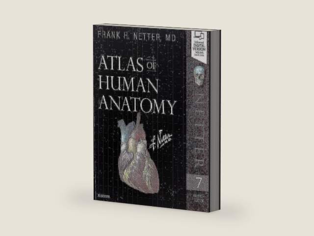 Atlas of Human Anatomy (Netter Basic Science) by Frank H. Netter MD | barcode:9780323393225 | source:'9780323393225-right-three-quarter.jpg