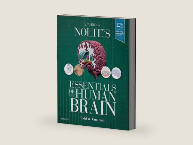 Nolte's Essentials of the Human Brain: With STUDENT CONSULT Online Access by Todd W. Vanderah PhD | barcode:9780323529310 | source:'9780323529310-right-three-quarter.jpg