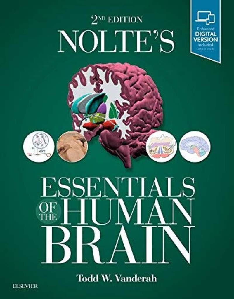 Nolte's Essentials of the Human Brain: With STUDENT CONSULT Online Access by Todd W. Vanderah PhD - 9780323529310