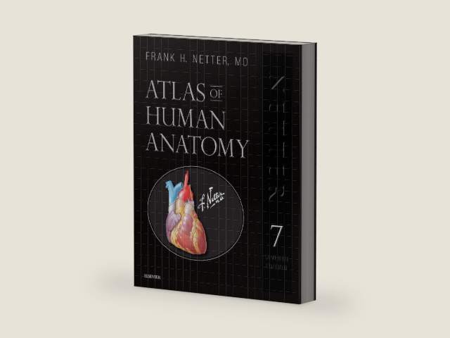 Atlas of Human Anatomy, Professional Edition: including NetterReference.com Access with Full Downloadable Image Bank (Netter Basic Science) by Frank H. Netter MD | barcode:9780323554282 | source:'9780323554282-right-three-quarter.jpg