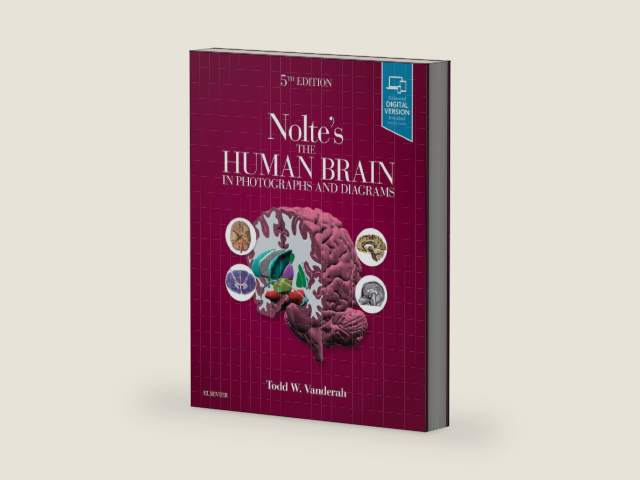 Nolte's The Human Brain in Photographs and Diagrams: With STUDENT CONSULT Online Access by Todd W. Vanderah PhD | barcode:9780323598163 | source:'9780323598163-right-three-quarter.jpg