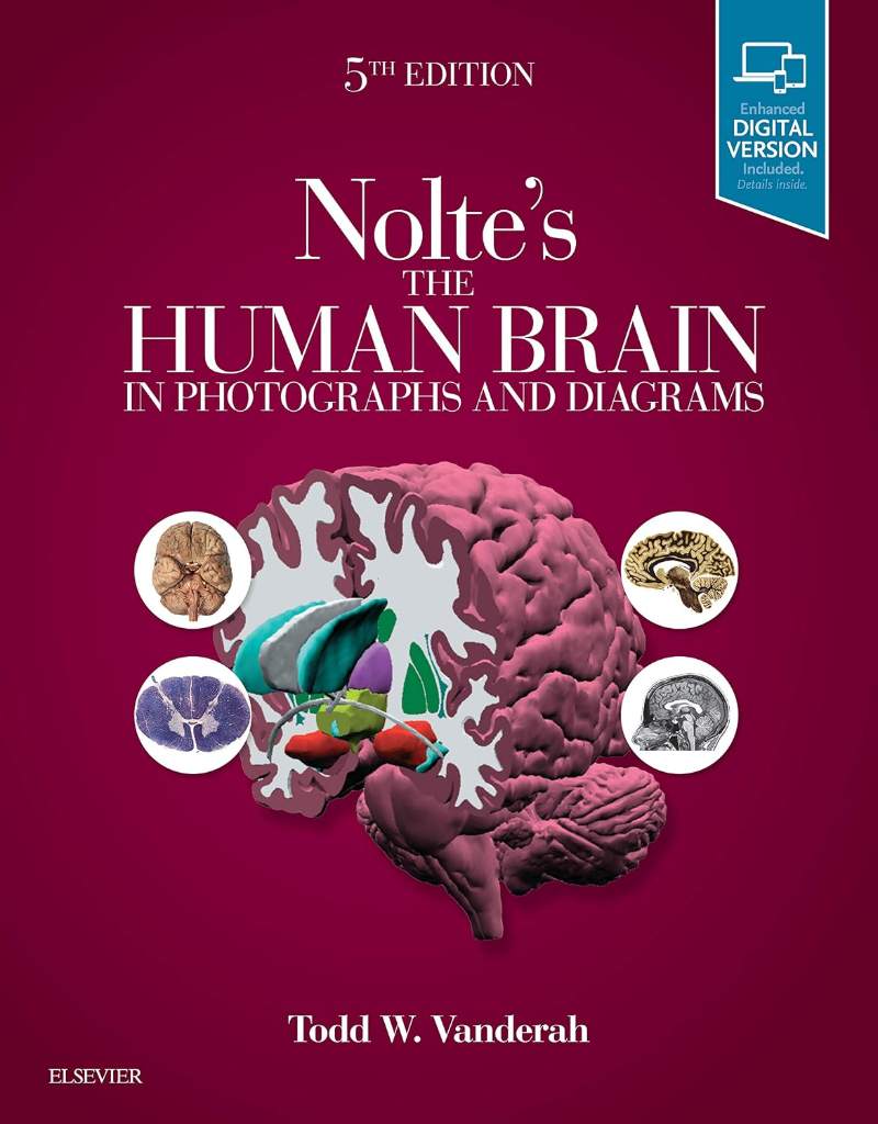Nolte's The Human Brain in Photographs and Diagrams: With STUDENT CONSULT Online Access by Todd W. Vanderah PhD - 9780323598163