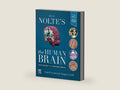 Nolte's The Human Brain: An Introduction to its Functional Anatomy by Todd W. Vanderah PhD | barcode:9780323653985 | source:'9780323653985-right-three-quarter.jpg