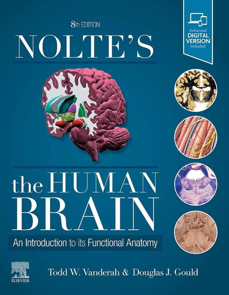 Nolte's The Human Brain: An Introduction to its Functional Anatomy by Todd W. Vanderah PhD - 9780323653985