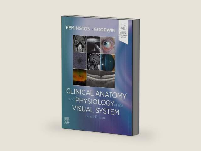 Clinical Anatomy and Physiology of the Visual System by Lee Ann Remington OD MS FAAO | barcode:9780323711685 | source:'9780323711685-right-three-quarter.jpg