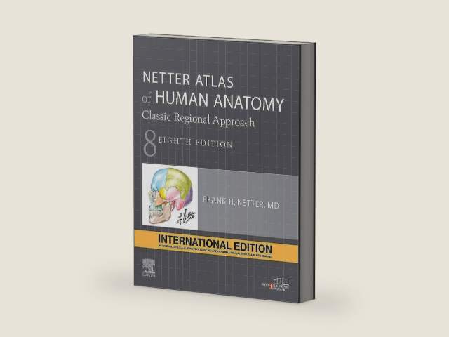 Netter Atlas of Human Anatomy International Edition: A Regional Approach (Netter Basic Science) by Frank H. Netter MD | barcode:9780323793742 | source:'9780323793742-right-three-quarter.jpg