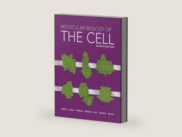 Molecular Biology of the Cell by Bruce Alberts | barcode:9780393884821 | source:'9780393884821-right-three-quarter.jpg