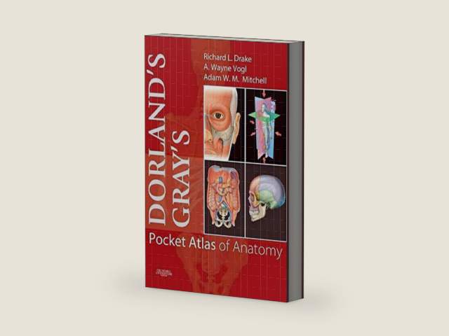 Dorland's/Gray's Pocket Atlas of Anatomy (Dorland's Medical Dictionary) by Richard L. Drake | barcode:9780443067617 | source:'9780443067617-right-three-quarter.jpg