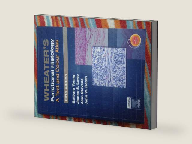 Wheater's Functional Histology: A Text and Colour Atlas, 5th Edition by Barbara Young | barcode:9780443068508 | source:'9780443068508-right-three-quarter.jpg