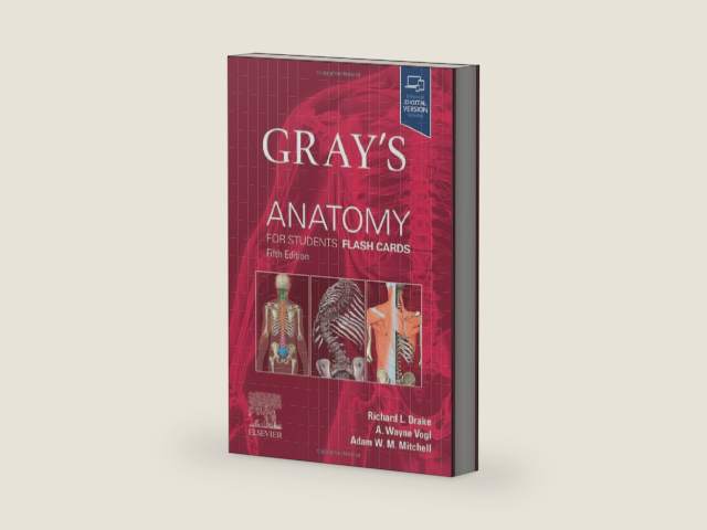 Gray's Anatomy for Students Flash Cards by Richard L. Drake PhD | barcode:9780443105142 | source:'9780443105142-right-three-quarter.jpg