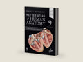 Netter Atlas of Human Anatomy: Classic Regional Approach (Netter Basic Science) by Frank H. Netter MD | barcode:9780443118685 | source:'9780443118685-right-three-quarter.jpg