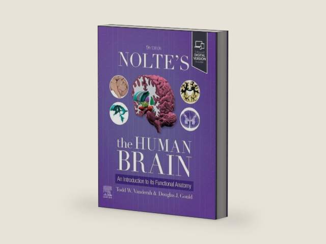 Nolte's The Human Brain: An Introduction to its Functional Anatomy by Todd W. Vanderah PhD | barcode:9780443126864 | source:'9780443126864-right-three-quarter.jpg