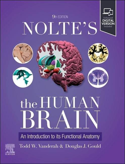 Nolte's The Human Brain: An Introduction to its Functional Anatomy by Todd W. Vanderah PhD - 9780443126864