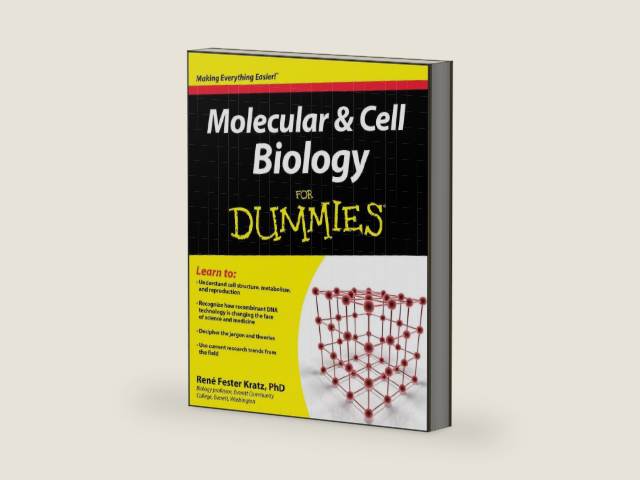 Molecular and Cell Biology For Dummies by Rene Fester Kratz | barcode:9780470430668 | source:'9780470430668-right-three-quarter.jpg