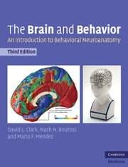 The Brain and Behavior: An Introduction to Behavioral Neuroanatomy by David L. Clark - 9780521142298
